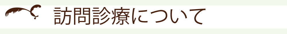 �K��f�Âɂ���